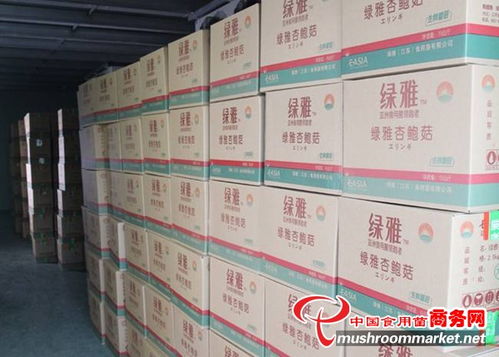 綠雅江蘇食用菌公司工廠化發(fā)展模式調(diào)研及市場(chǎng)前景分析報(bào)告